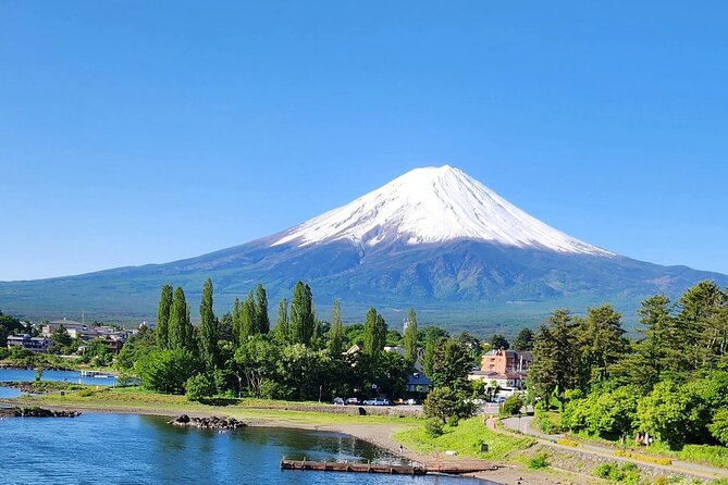 Mt FUJI Day Tour With Private Car and English Speaking Guide - Pickup and Accessibility