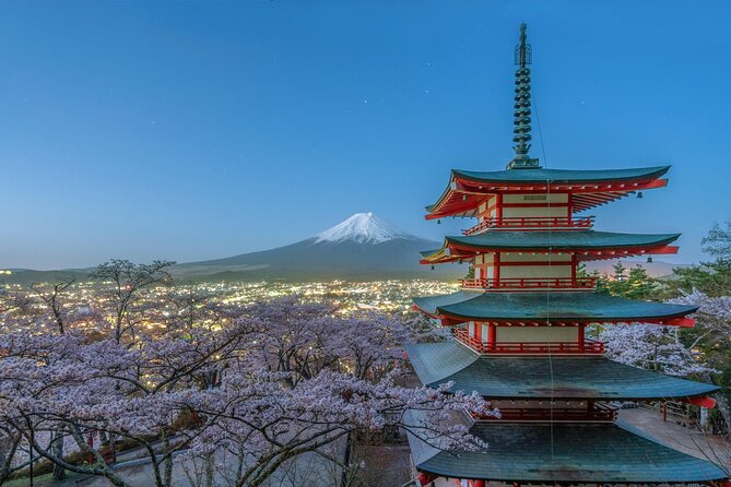 Mt FUJI Day Tour With Private Car and English Speaking Guide - Customer Experience