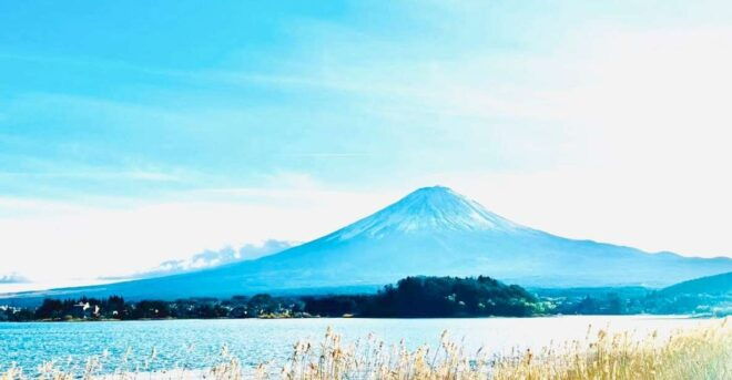 Mt.Fuji Day Tour:Oshino Hakkai,Kawaguchi Lake From Tokyo - Important Information
