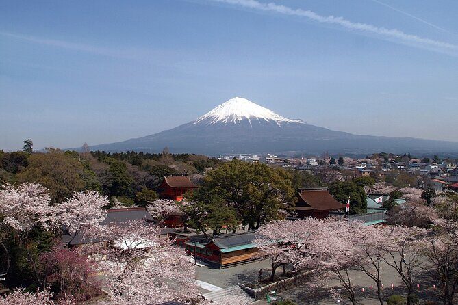 Mt. Fuji Day Trip by Shinkansen & Private Car with Local Culture - FAQ