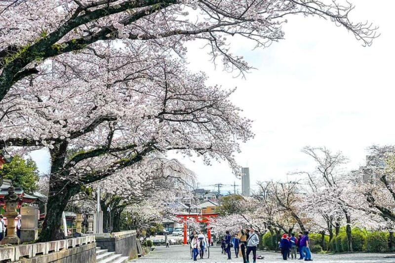 Mt.Fuji Day Trip from Tokyo:Strawberry,Tea Farm(Small Group) - FAQ