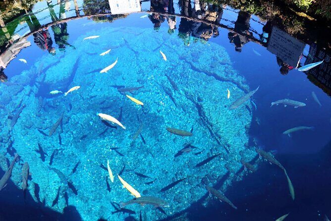 Mt. Fuji Day Trip: Oshino Hakkai, Lake Kawaguchi & Ladder Town - The Itinerary Breakdown