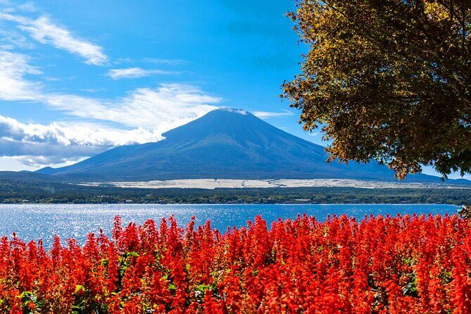 Mt. Fuji Day Trip: Oshino Hakkai, Lake Kawaguchi & Ladder Town - Value and Pricing
