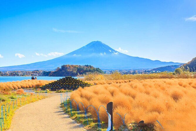 Mt. Fuji Day Trip: Oshino Hakkai, Lake Kawaguchi & Ladder Town - Who Should Consider This Tour?