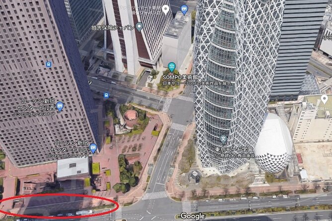 Mt Fuji & Five-Story Pagoda & Honcho Street & Oishi Park Day Tour - Tour Schedule Highlights