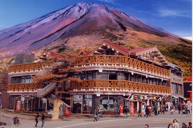 Mt Fuji & Five-Story Pagoda & Honcho Street & Oishi Park Day Tour - Additional Tour Information