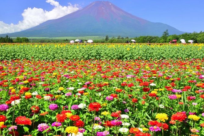 Mt. Fuji Flower Festival Tour With Ropeway Experience From Tokyo - Additional Information