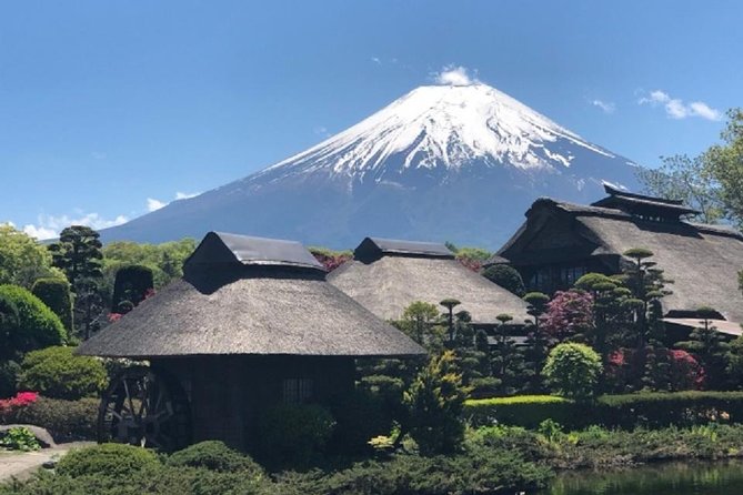 Mt.Fuji Full-Day Private Tour By Public Transportation - Public Transportation Options