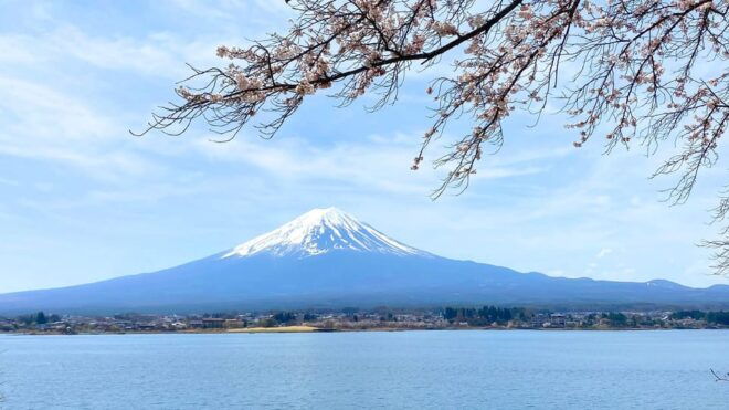 Mt Fuji: Full Day Private Tour From Tokyo by Luxury Vehicle - Experience Features
