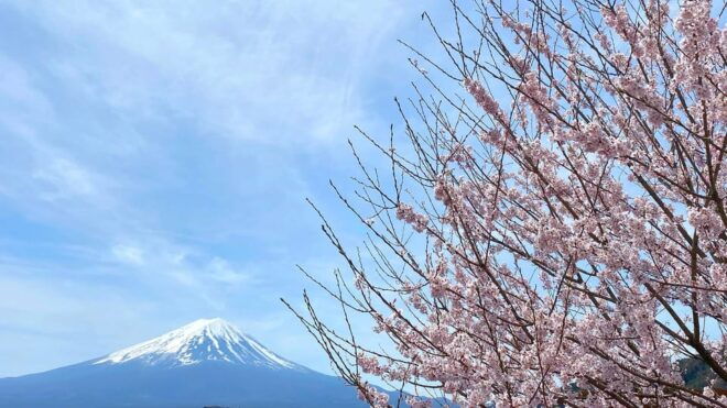 Mt Fuji: Full Day Private Tour From Tokyo by Luxury Vehicle - Booking Information