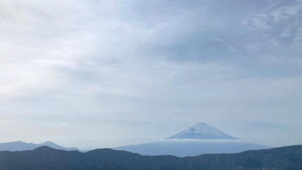 Mt Fuji: Full Day Private Tour From Tokyo by Luxury Vehicle - Optional Activities