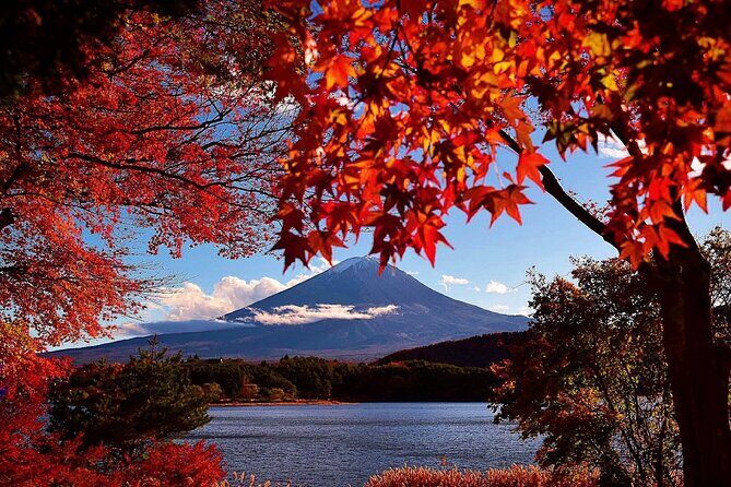 Mt Fuji Full Day Private Tour from Tokyo with English Driver - Who Should Book This Tour?