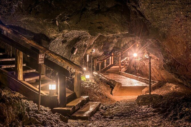 Mt Fuji Full Day Private Tour from Tokyo with English Driver - FAQ