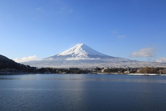 Mt. Fuji & Hakone 1 Day Bus Tour From Tokyo Station Area - Tour Details and Itinerary