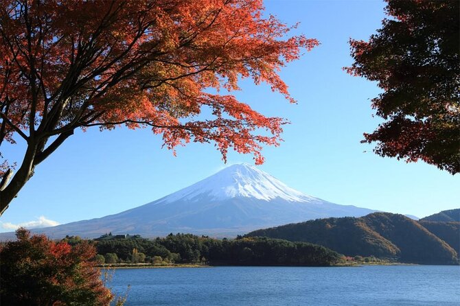 Mt. Fuji & Hakone Bullet Train 1 Day Tour From Tokyo Station Area - Lowest Price Guarantee