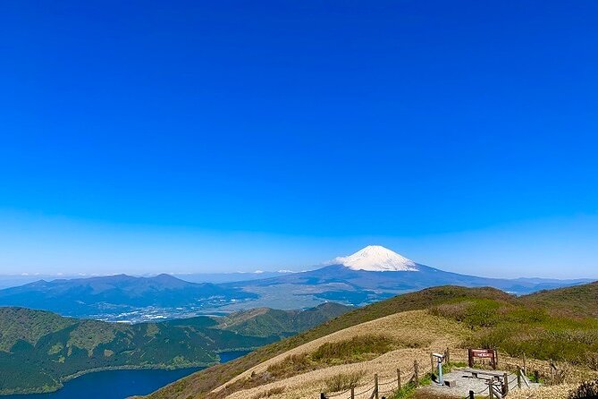Mt. Fuji & Hakone Bullet Train 1 Day Tour From Tokyo Station Area - Select Date and Travelers