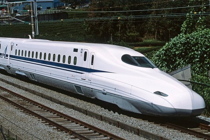 Mt. Fuji & Hakone Bullet Train 1 Day Tour From Tokyo Station Area - Reserve Now & Pay Later