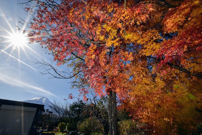 Mt. Fuji & Hakone Day Tour From Tokyo by Car With JP Local Guide - Meeting and Pickup