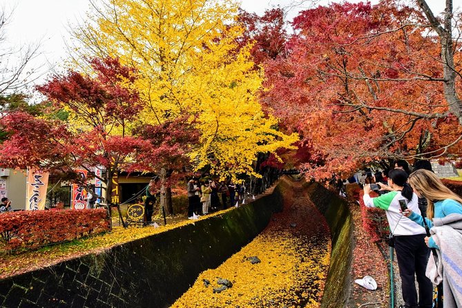 Mt. Fuji & Hakone Day Tour From Tokyo by Car With JP Local Guide - Reviews and Cancellations