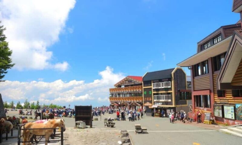 Mt. Fuji & Hakone Day Tour from Tokyo with Indian Lunch - Good To Know