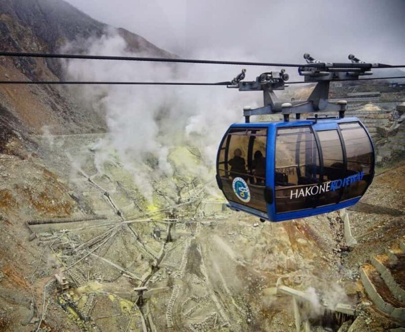 Mt. Fuji & Hakone Day Tour from Tokyo with Indian Lunch - A Deep Dive into the Experience