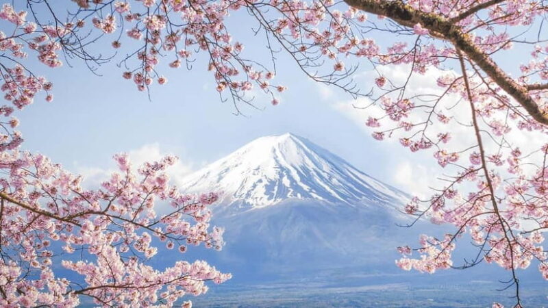 Mt.Fuji Hakone Day Tour With Lake Ashi Cruise, FREE Ropeway - Oshino Hakkai: A Village Frozen in Time