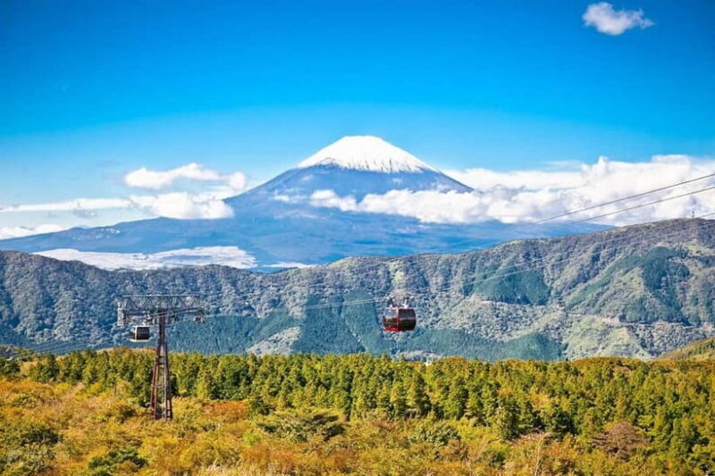 Mt.Fuji Hakone Day Tour With Lake Ashi Cruise, FREE Ropeway - The Real Value of This Tour