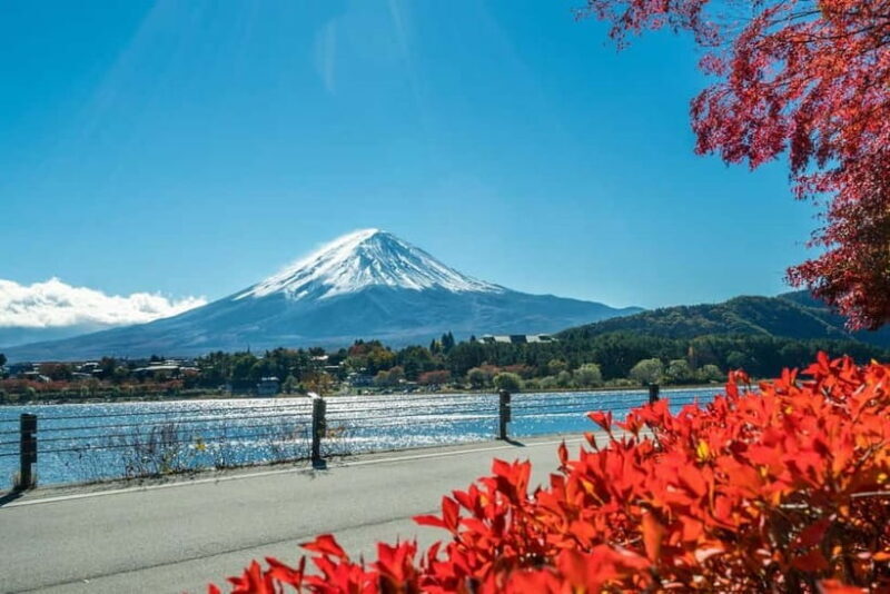 Mt.Fuji Hakone Day Tour With Lake Ashi Cruise, FREE Ropeway - Final Thoughts
