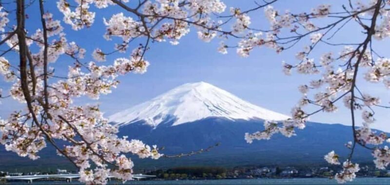 Mt. Fuji & Hakone Day Trip with English-Speaking Driver - Good To Know