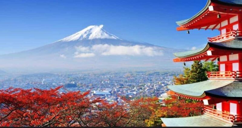 Mt. Fuji & Hakone Day Trip with English-Speaking Driver - The Itinerary in Detail