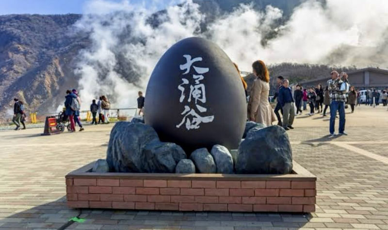 Mt. Fuji & Hakone Full-Day Customizable Private Tour - A day built around Mount Fuji, not a fixed route