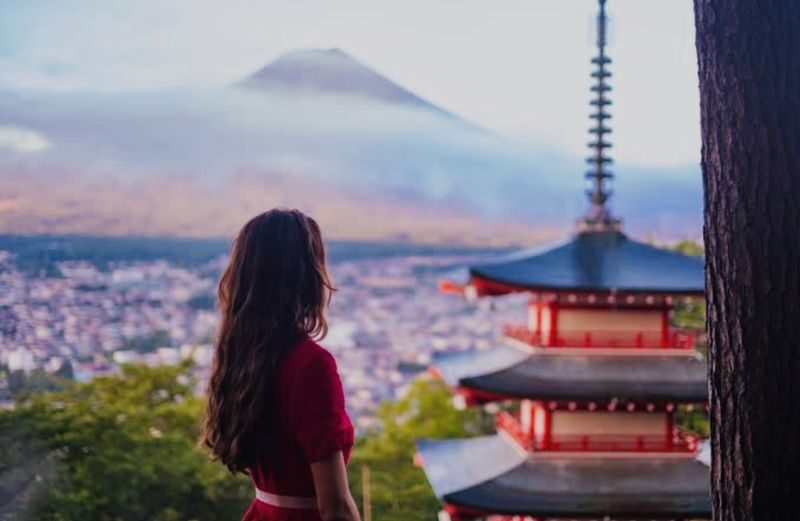 Mt. Fuji & Hakone Full-Day Customizable Private Tour - The driver can make or break the day