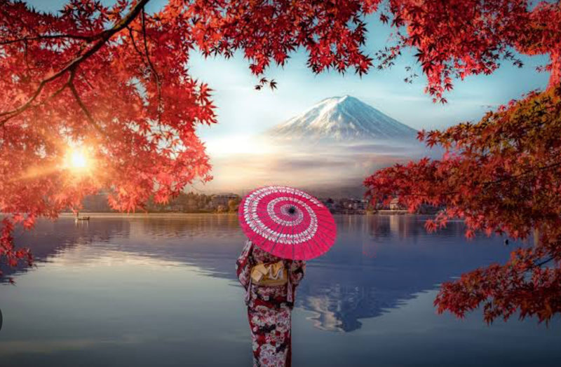 Mt. Fuji & Hakone Full-Day Customizable Private Tour - What $372.60 buys, and when it feels worthwhile