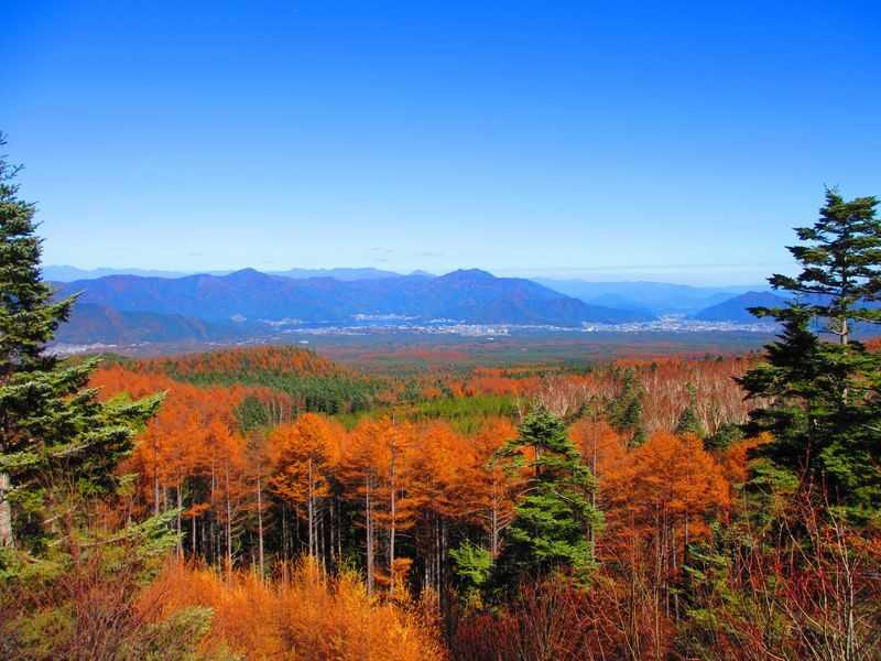 Mt.Fuji & Hakone & Gotemba premium Outlets From Tokyo - Is $61.69 good value?