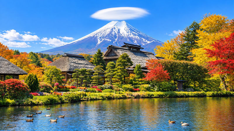 Mt. Fuji & Hakone Highlights Day Tour: Lake Ashi Pirate Ship + Togendai-Owakudani Ropeway - Small Group / Private Charter / Comfortable Coach (Multiple Options Available) - Weather, value, and who should book