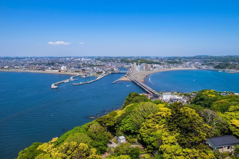 Mt. Fuji, Hakone, Kamakura, and Enoshima Day Trip: Lake Ashi Pirate Ship Cruise & Mt. Fuji and Owakudani Views by Ropeway & Enoshima Scenic Views and Gourmet Food (Departure from Tokyo/Shinjuku) - Price, tickets and what to check before booking