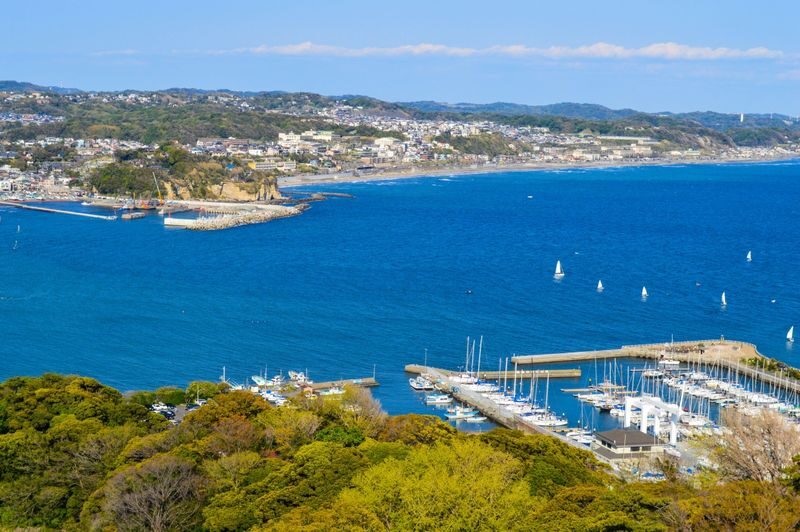 Mt. Fuji, Hakone, Kamakura, and Enoshima Day Trip: Lake Ashi Pirate Ship Cruise & Mt. Fuji and Owakudani Views by Ropeway & Enoshima Scenic Views and Gourmet Food (Departure from Tokyo/Shinjuku) - Should you book this Hakone and Enoshima day trip?