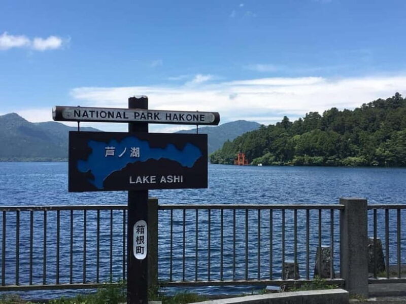 Mt Fuji Hakone/Kamakura Tour: FREE Ropeway& Lake Ashi Cruise - Owakudani and Its Volcanic Power