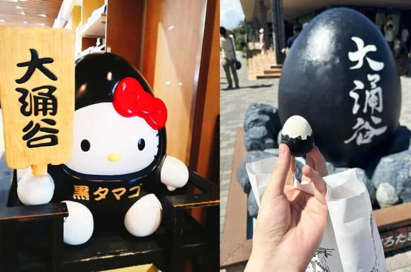 Mt Fuji Hakone/Kamakura Tour: FREE Ropeway& Lake Ashi Cruise - Who Is This Tour Best Suited For?