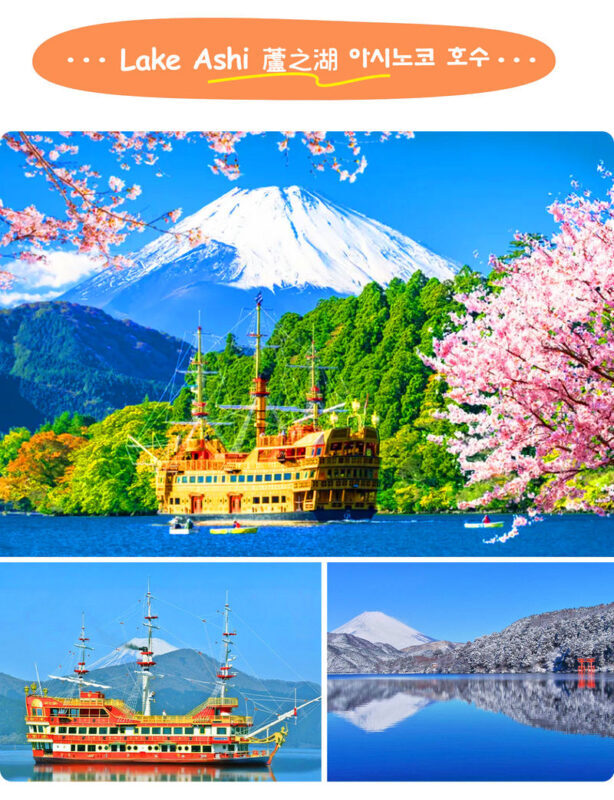 Mt. Fuji & Hakone | Lake Ashi Floating Torii Gate, Lake Yamanaka, & Owakudani "Land, Sea, and Air" Exploration Tour (Complimentary Hakone Ropeway) | Departing from Tokyo/Shinjuku - Lake Yamanaka’s swans and the Fuji backdrop