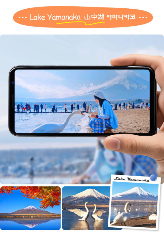 Mt. Fuji & Hakone | Lake Ashi Floating Torii Gate, Lake Yamanaka, & Owakudani "Land, Sea, and Air" Exploration Tour (Complimentary Hakone Ropeway) | Departing from Tokyo/Shinjuku - Practical booking notes before you go