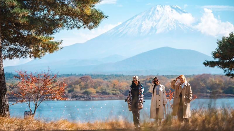 Mt. Fuji & Hakone Private Day Tour with English-Speaking Driver - A private car changes how you see Fuji and Hakone