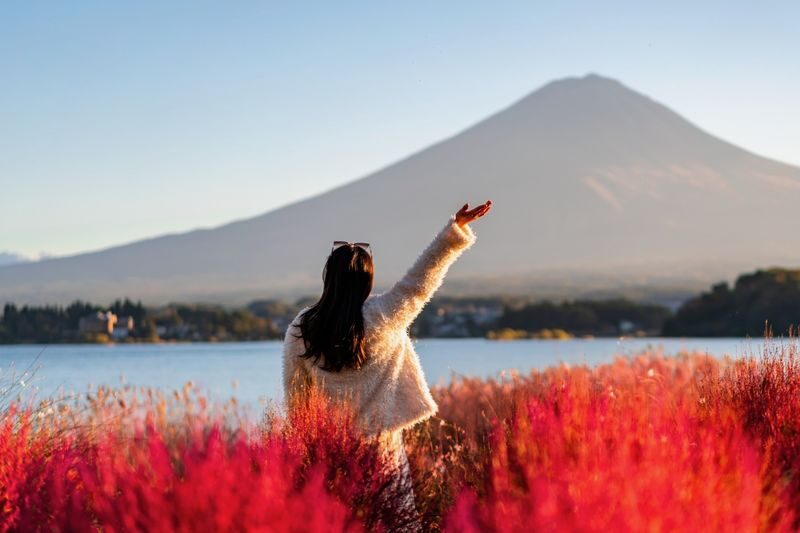 Mt. Fuji & Hakone Private Day Tour with English-Speaking Driver - Lake Yamanaka offers a quieter Fuji viewpoint