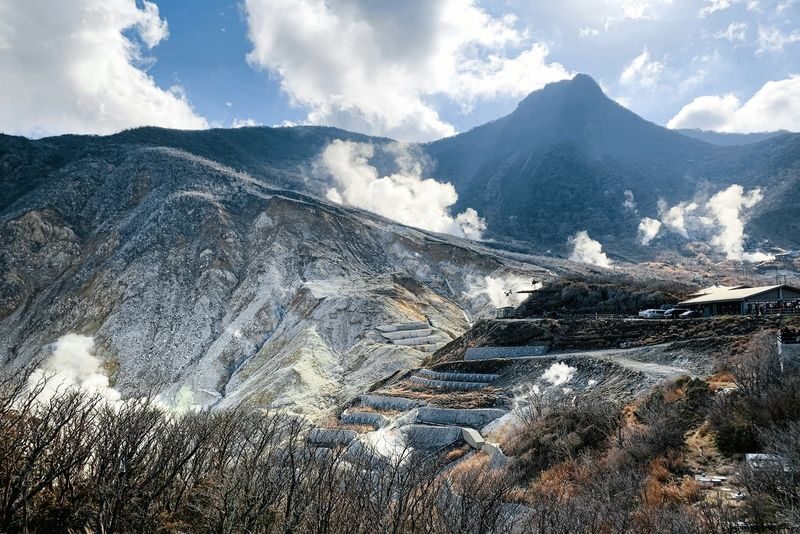 Mt. Fuji & Hakone Private Day Tour with English-Speaking Driver - Museums and outlets are optional for good reason