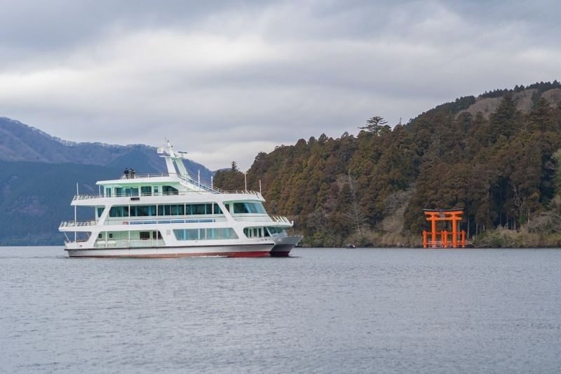 Mt. Fuji & Hakone Private Day Tour with English-Speaking Driver - The price works best when shared