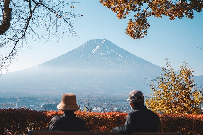 Mt Fuji, Hakone Private Tour by Car With Pickup - Pricing and Booking