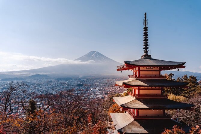 Mt Fuji, Hakone Private Tour by Car With Pickup - Return Details