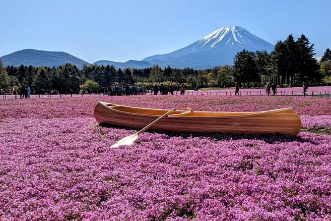 Mt Fuji, Hakone Private Tour by Car With Pickup - Reviews