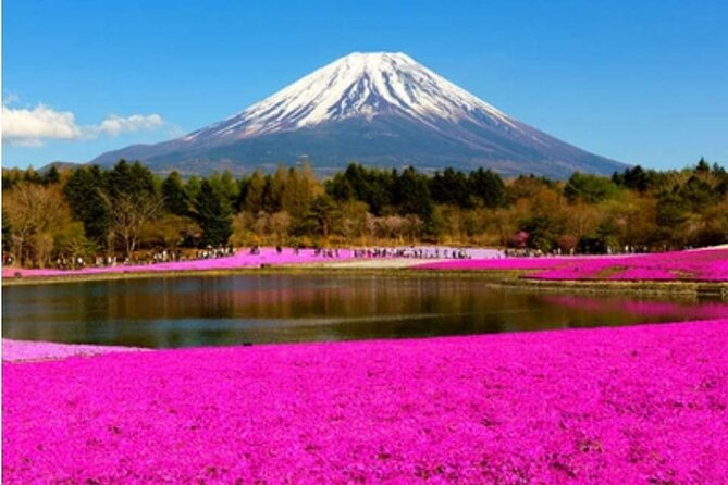 Mt Fuji, Hakone Private Tour by Car With Pickup - The Sum Up
