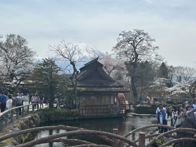 Mt. Fuji & Hakone Private Tour T/F Tokyo, Yokohama up to 12 - Good To Know